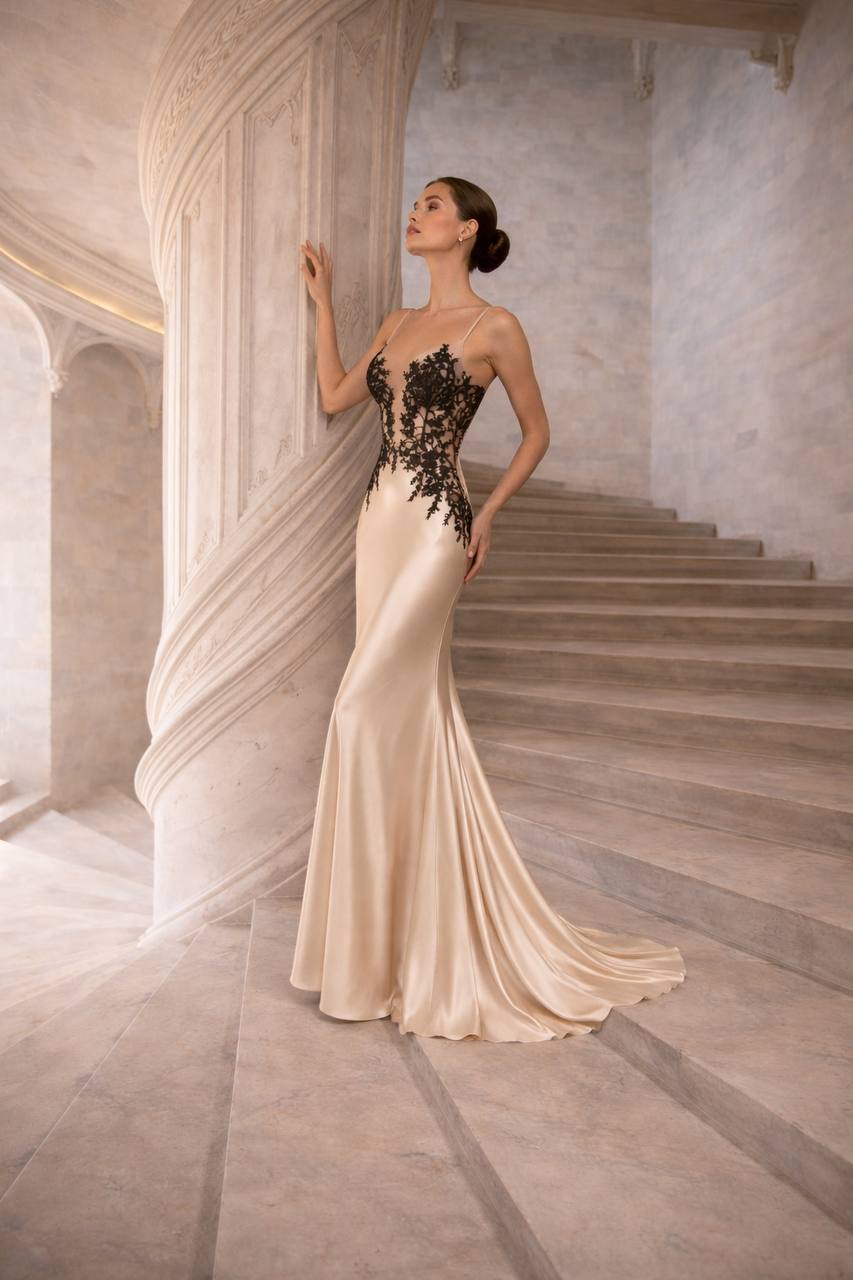 ISABEAU Noir Silk Lace Evening & Bridal Dress